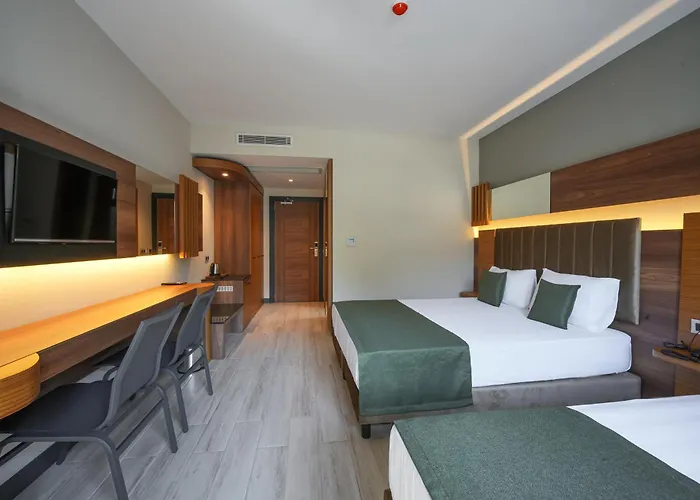 Oliva Hotel 3*