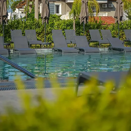Hotel Oliva